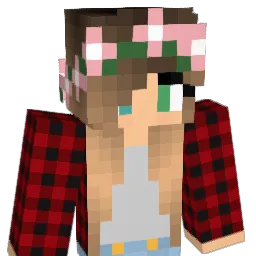 57Distruct57 Minecraft avatar bust