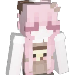 idx_0000's skin