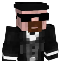 5Reisfrxsser Minecraft avatar bust