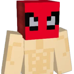 5kcire5 Minecraft avatar bust
