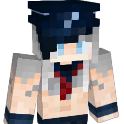5nowc Minecraft avatar bust