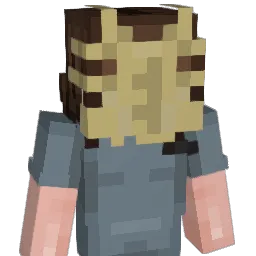 5w3rv05 Minecraft avatar bust
