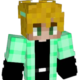 Rymint's skin