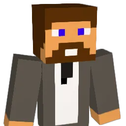 6248 Minecraft avatar bust