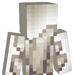 665986 Minecraft avatar bust