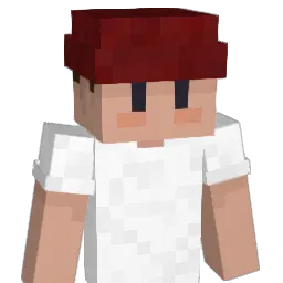 67yuii Minecraft avatar bust