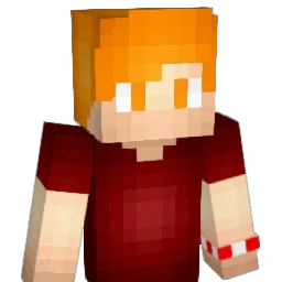 69843 Minecraft avatar bust