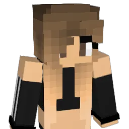 6997 Minecraft avatar bust