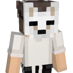 69Brandini69 Minecraft avatar bust