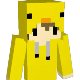 69Ducky69 Minecraft avatar bust