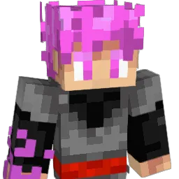6Elytre7 Minecraft avatar bust