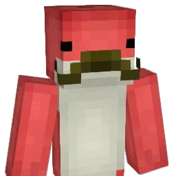 6RAY_