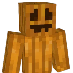 6U_U9 Minecraft avatar bust