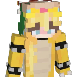 6VaNa9 Minecraft avatar bust