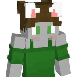 6dfor0_F1 Minecraft avatar bust