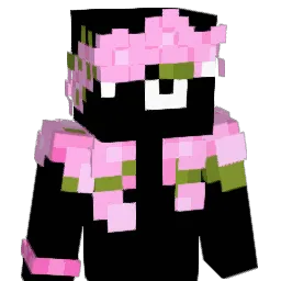 Tuan2Du's skin