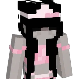 6hsd's Minecraft skin