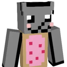 6months Minecraft avatar bust