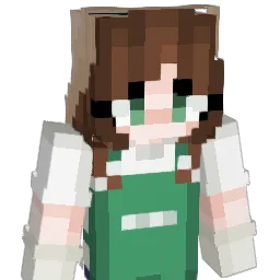 70comforts Minecraft avatar bust