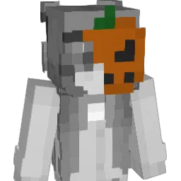 Minecraft-Avatar von 718923: Büste
