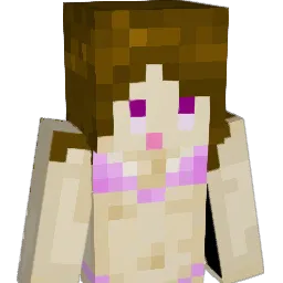 71Arjan29 Minecraft avatar bust