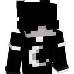 Blitzzzy_'s skin