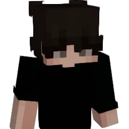 Sylank's skin