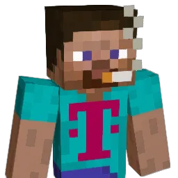 7803 Minecraft avatar bust