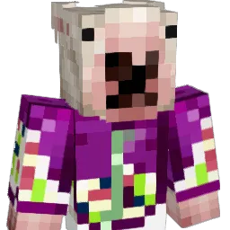 79dimi Minecraft avatar bust