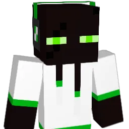 7R1NAM Minecraft avatar bust