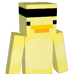 duck_E_fly's skin