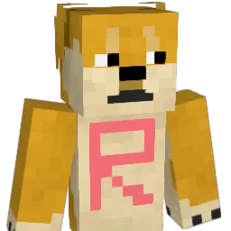 ranikun's skin
