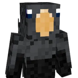 81v0 Minecraft avatar bust
