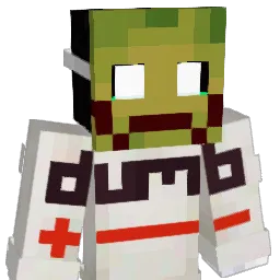 84rnk Minecraft avatar bust