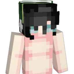 87031939614 Minecraft avatar bust