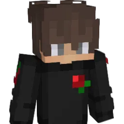 OnlyXArian_'s skin