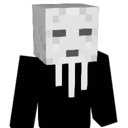 8Eiight Minecraft avatar bust