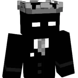 8EliteGen5 Minecraft avatar bust