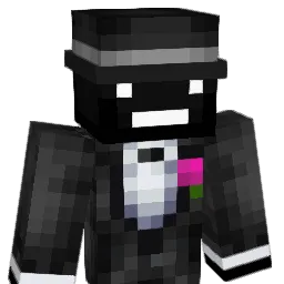 8HP Minecraft avatar bust