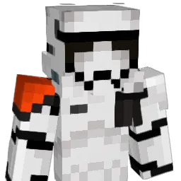 8Swift8 Minecraft avatar bust