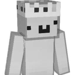 OneXVN's skin