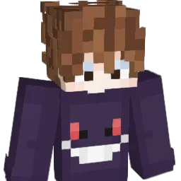 8eNuJa Minecraft avatar bust