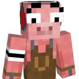 8nils8 Minecraft avatar bust