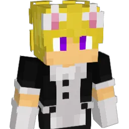 Lyne100's skin