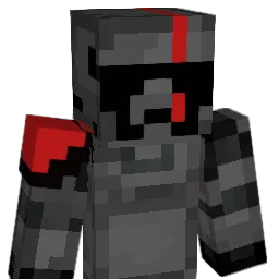 fLIP200PLAYER