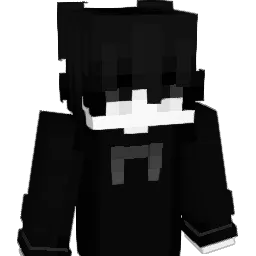 Praids's skin