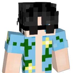 Endwhirl's skin