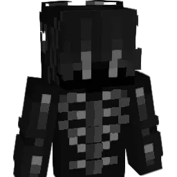 Solvyy's skin
