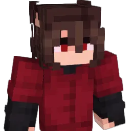 Dudys's skin