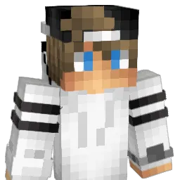 9I_NEKTO Minecraft avatar bust